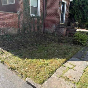 Flower Bed Weeding by ProGuard home solutions reviewed on October 12, 2026