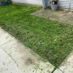 Flower Bed Weeding by HB services reviewed on September 12, 2026