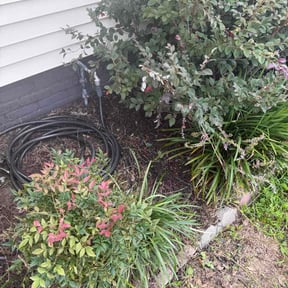 Flower Bed Weeding by Creative looks lawncare &amp; tree reviewed on September 17, 2026