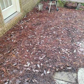 Flower Bed Weeding by Vero one landscaping reviewed on October 9, 2026