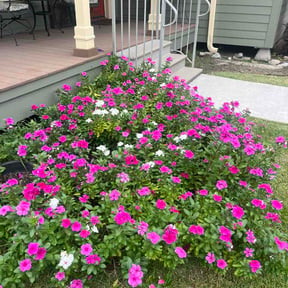 Flower Bed Weeding by rafyvelez6@gmail.com reviewed on October 9, 2026