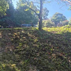 Flower Bed Weeding by BladezoflightningLLC reviewed on September 14, 2026