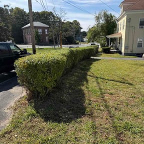 Bush Trimming by Codes Lawn Care LLC reviewed on October 14, 2026