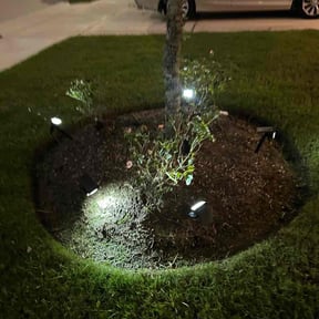 Flower Bed Weeding by Jhoni Lawn care landscaping servicio reviewed on September 16, 2026