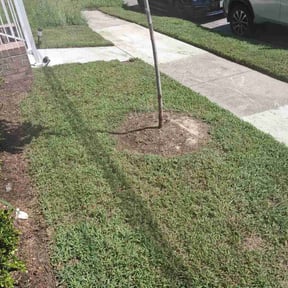 Flower Bed Weeding by Level landscaping reviewed on September 15, 2026