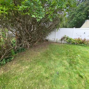 Bush Trimming by RnK landscaping and pressure wash reviewed on October 12, 2026