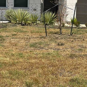 Flower Bed Weeding by Luke’s lawncare reviewed on September 3, 2026