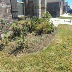 Flower Bed Weeding by B&amp;T Lawn Care reviewed on September 14, 2026