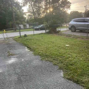 Leaf Removal by NuVu Lawn reviewed on October 13, 2026