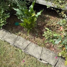 Flower Bed Weeding by Suds and Surface Outdoors reviewed on September 12, 2026
