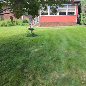 Flower Bed Weeding by Sow Wisely Lawn Care reviewed on September 13, 2026