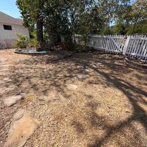 Leaf Removal by BMOWS LAWNCARE LLC reviewed on October 14, 2026