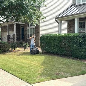 Bush Trimming by D.P.S (Dave Property Services) reviewed on August 14, 2026