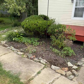 Flower Bed Weeding by property solutions reviewed on October 16, 2026