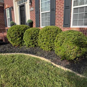 Bush Trimming by Dew cuts llc reviewed on September 12, 2026