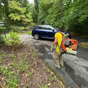 Leaf Removal by Bgreen lawn care reviewed on October 9, 2026