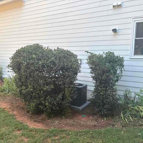 Bush Trimming by Coop Cutz lawn &amp; maintenance llc reviewed on October 12, 2026