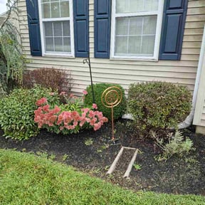 Bush Trimming by Matus lawncare reviewed on October 15, 2026