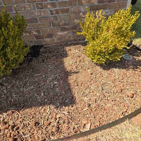 Flower Bed Weeding by Bedrock &amp; Bloom Landscaping reviewed on September 15, 2026