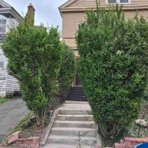 Bush Trimming by B&amp;J Lawn and Homecare reviewed on September 12, 2026