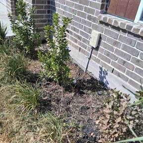 Flower Bed Weeding by Hogman and Sons Lawncare Plus reviewed on August 30, 2026