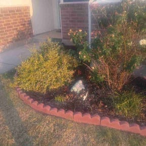 Flower Bed Weeding by 3D Lawn Co reviewed on September 14, 2026