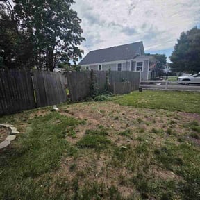 Bush Trimming by Lee's Lawn Care reviewed on September 15, 2026