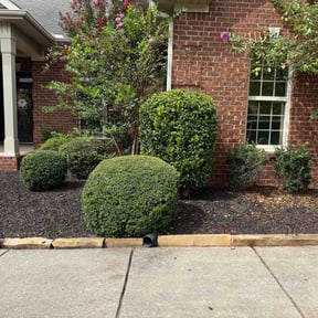 Bush Trimming by Electrifying lawn care reviewed on October 14, 2026
