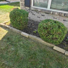 Bush Trimming by RnK landscaping and pressure wash reviewed on September 12, 2026
