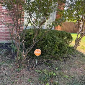 Bush Trimming by H.L.S Hicks Lawn service reviewed on October 14, 2026