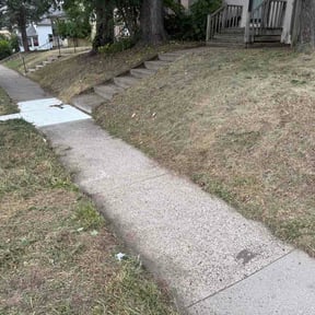 Leaf Removal by Lexi's Landscaping reviewed on September 11, 2026