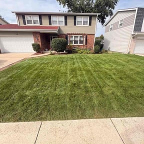 Bush Trimming by Hall Right!!! reviewed on October 9, 2026