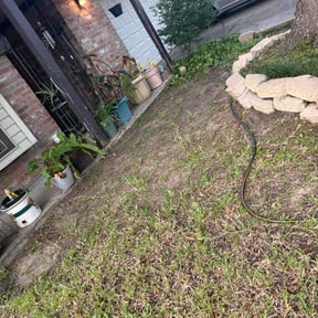 Leaf Removal by San Diego lawn pimpz reviewed on September 16, 2026