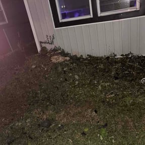 Flower Bed Weeding by Miller Family Enterprises reviewed on October 11, 2026