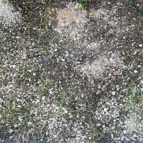 Flower Bed Weeding by Lynns Lawn Care .LLC reviewed on September 13, 2026