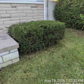 Leaf Removal by Rusty’s Landscaping reviewed on August 22, 2026