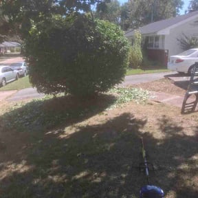 Bush Trimming by Mac lawn care service reviewed on September 17, 2026