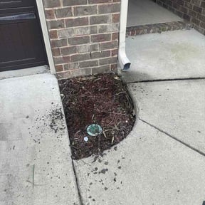 Flower Bed Weeding by Bruce Lawson reviewed on August 18, 2026