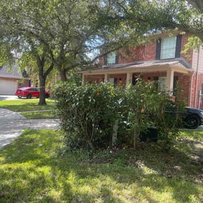 Bush Trimming by MAP Lawn Care reviewed on September 12, 2026