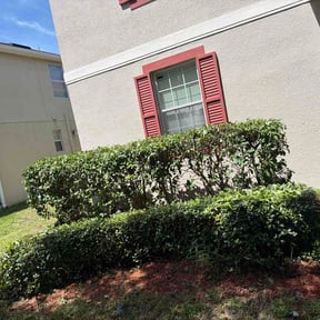 Bush Trimming by Flynns landscaping reviewed on September 11, 2026