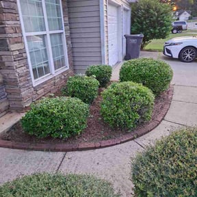 Flower Bed Weeding by Lawn3x reviewed on September 15, 2026
