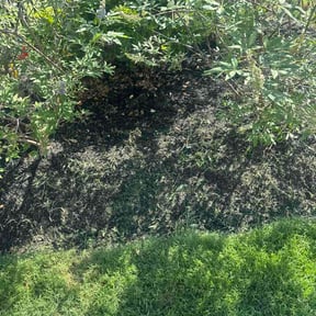 Flower Bed Weeding by C &amp; D Lawn Care reviewed on October 15, 2026