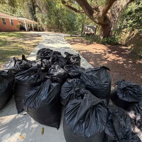 Leaf Removal by Neighborhood lawn pro reviewed on October 11, 2026