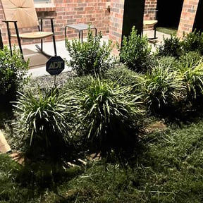 Flower Bed Weeding by Michael Ritchie reviewed on September 15, 2026