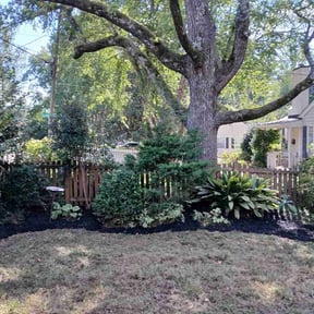 Mulching by Raleigh Lawn Guys reviewed on October 15, 2026
