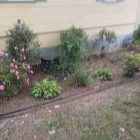 Flower Bed Weeding by Outlaw oasis landscape reviewed on October 13, 2026