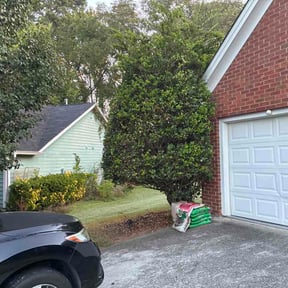 Bush Trimming by Bay Land &amp; Trees Llc. reviewed on September 12, 2026