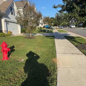 Flower Bed Weeding by Davis Yard Works, LLC reviewed on August 28, 2026