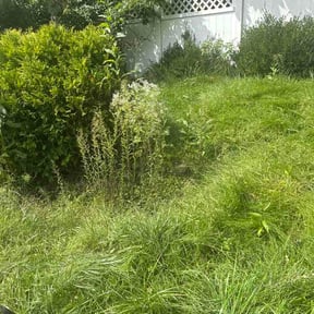 Flower Bed Weeding by Mulligan Outdoor Services reviewed on October 10, 2026