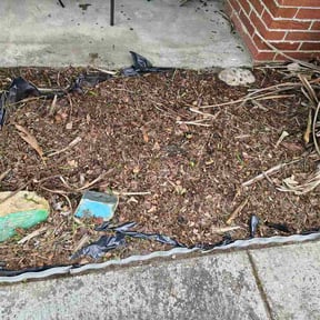 Flower Bed Weeding by The Lawn Guyzz reviewed on September 13, 2026